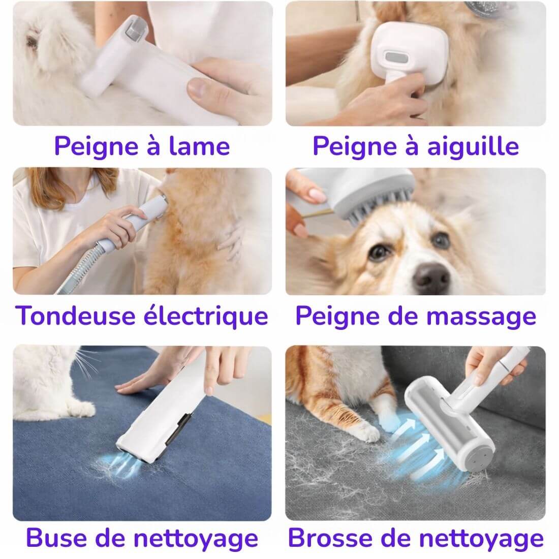 Aspirateur pour Animaux - Image 6