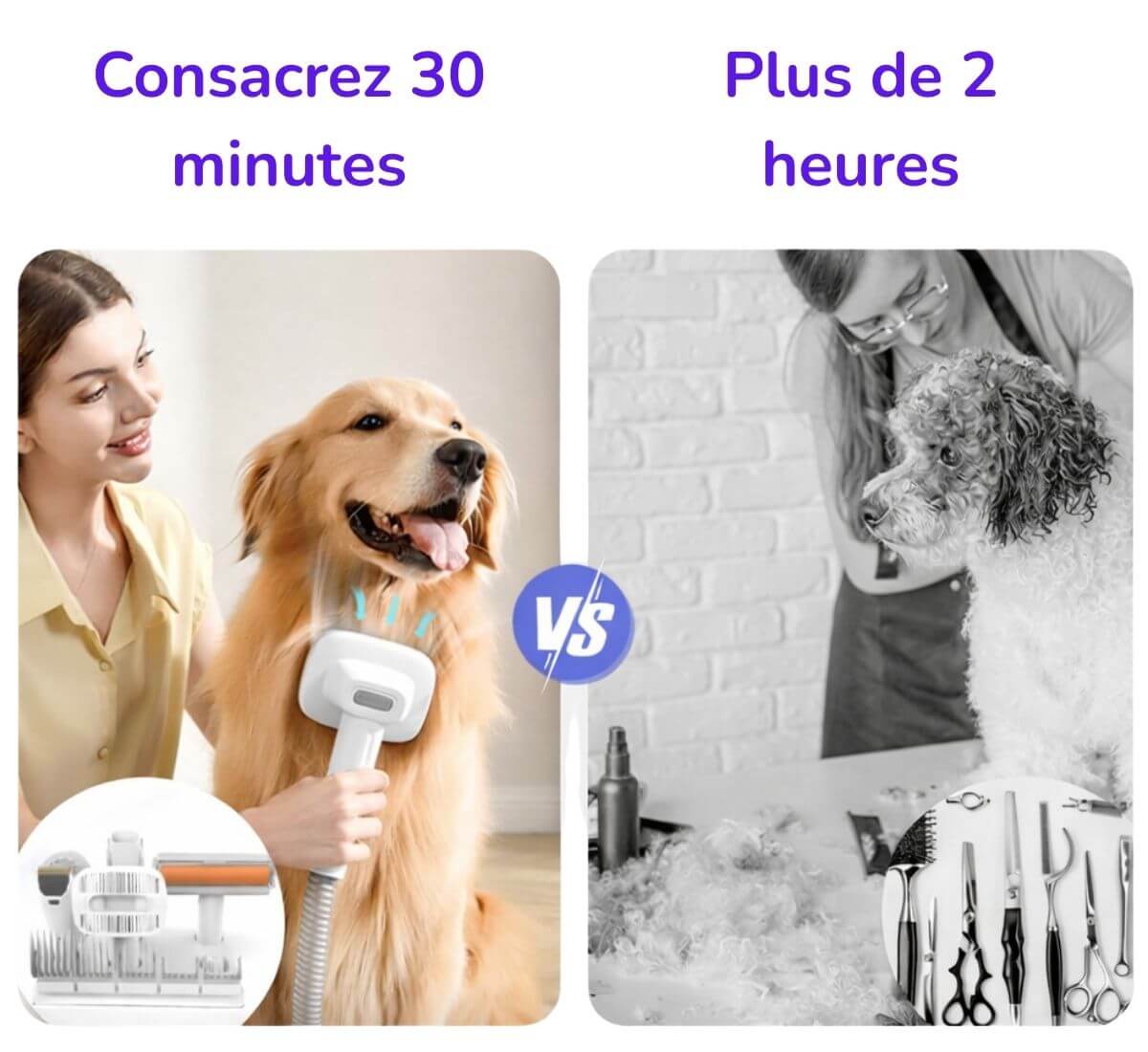 Aspirateur pour Animaux - Image 8