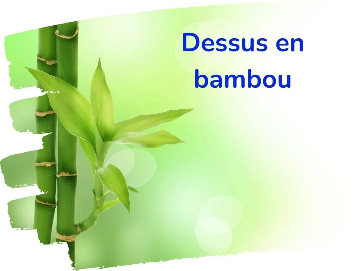 Housse Anti-Acariens Très Grand (King) (78'' x 80'') - Image 4