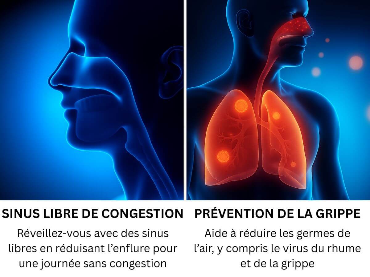 Purificateur d'air P6006 avec filtre HEPA médical - Image 5