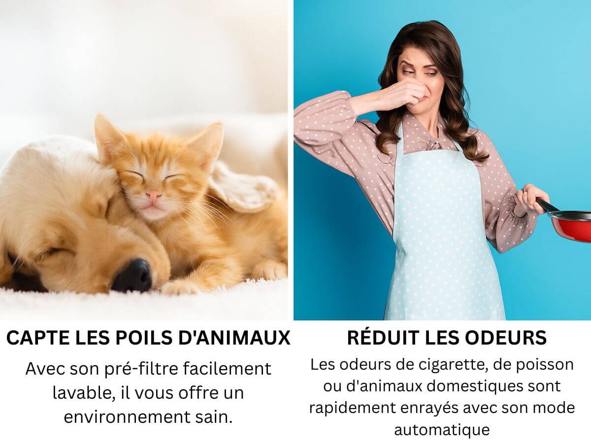 Purificateur d'air P6006 avec filtre HEPA médical - Image 6