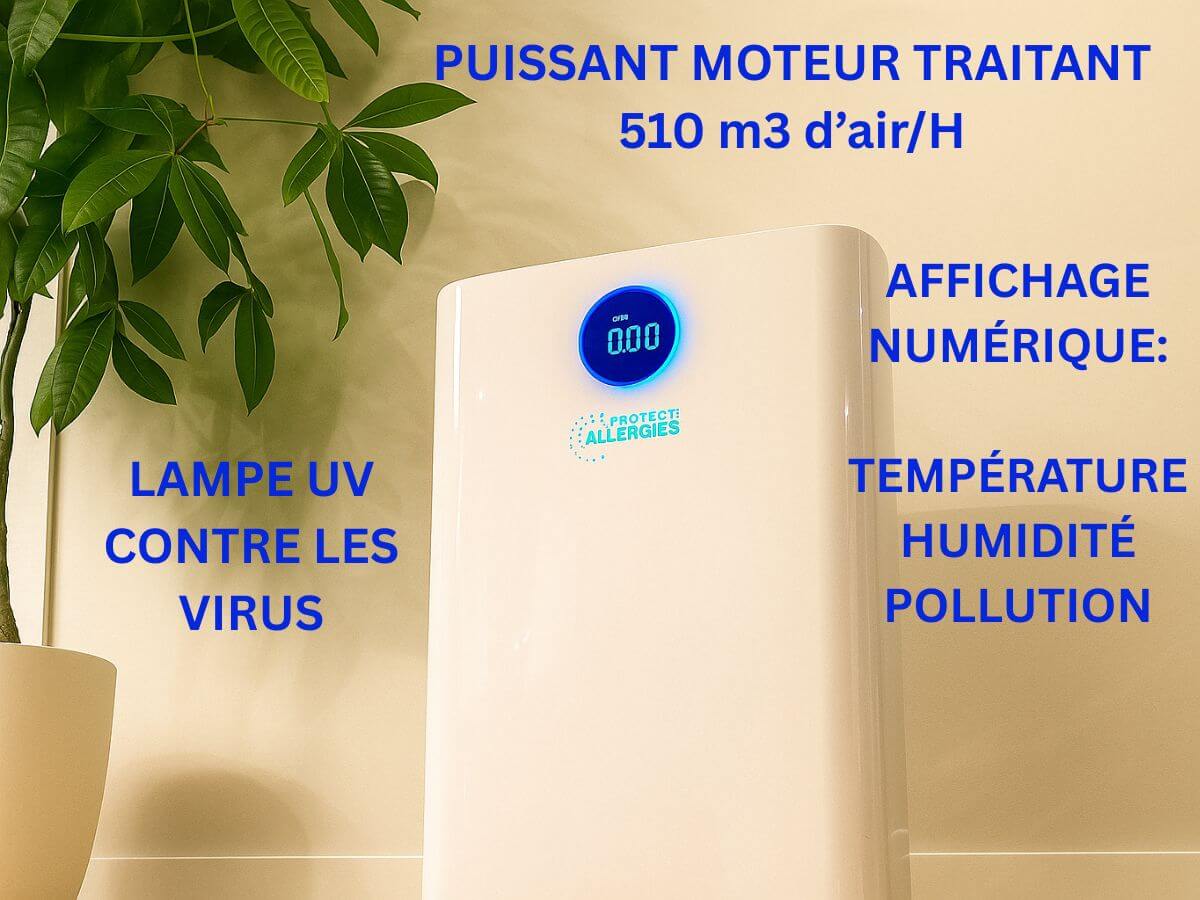 Purificateur d'air P6006 avec filtre HEPA médical - Image 4